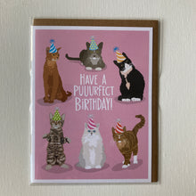 Load image into Gallery viewer, Cats Perfect Birthday Greeting Card
