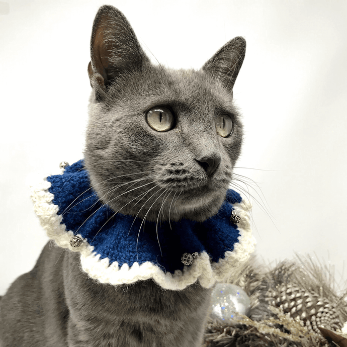 How Pre-Planning Can Make For A Safer Holiday Season For Your Cat