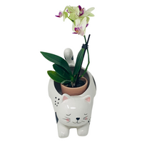 Load image into Gallery viewer, Raise Your Bum Kitty Planter
