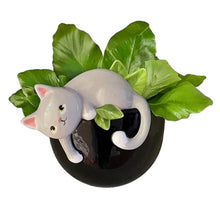 Load image into Gallery viewer, Playful Kitty Planter
