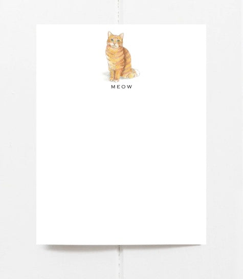 Cat Note Cards Mixed Pack