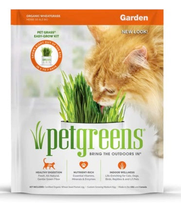 Organic Pet Wheat Grass Self-Grow Kit