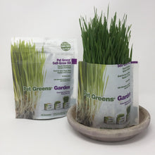Load image into Gallery viewer, Picture of two pet grass self-grow kits standing on an all white surface surface
