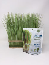 Load image into Gallery viewer, Picture of a white bag of pet grass self-grow kit standing on a white background

