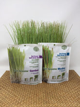 Load image into Gallery viewer, Picture of two pet grass self-grow kits standing on a wicker surface
